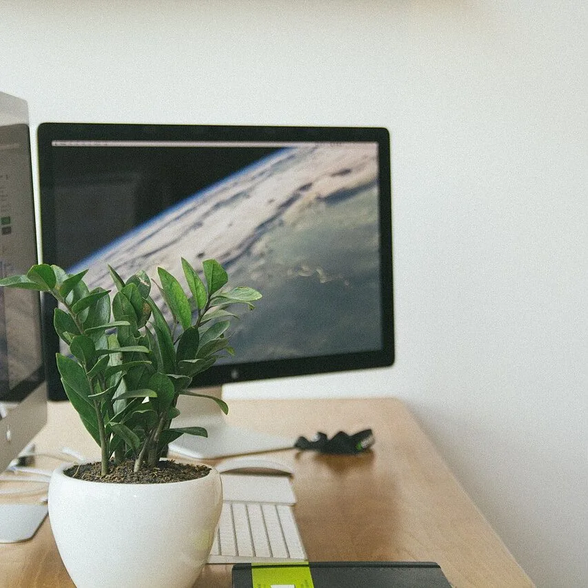 Örnek Görüntü 27 inç QHD 165 Hz IPS monitör